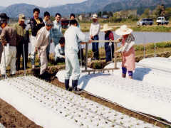 大野平野